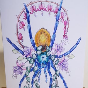 Tarentule Carte de vœux, Cadeau, Fleurs, C. cyaneopubescens, Vert Bouteille Bleue, Araignée