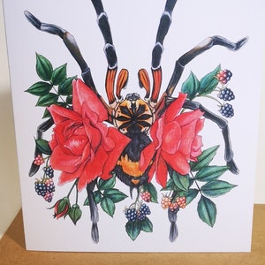 Carte de voeux Tarentule, cadeau, fleurs, X. Imanis, araignée