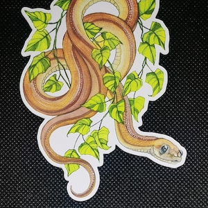 May include: A watercolour illustration of a brown snake curled around green leaves. The snake has a light brown body with darker brown stripes and a light brown head with black eyes.