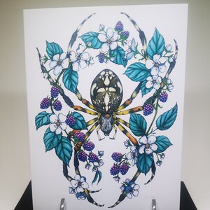 Orb Weaver Carte de voeux, cadeau, fleurs, fleur de mûre, araignée