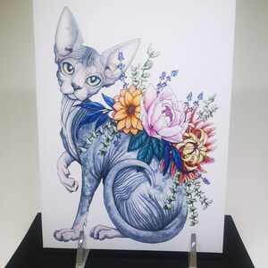 Carte de voeux chat sans poils, bouquet de fleurs, cadeau