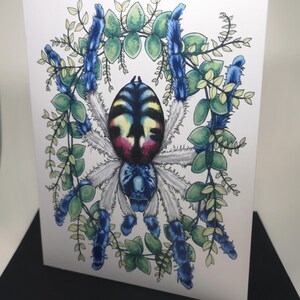 Carte de voeux tarentule, T. seledonia, araignée