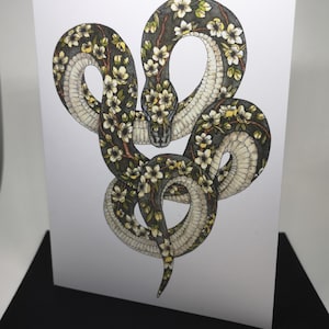 Carte de voeux serpent, cadeau, reptile