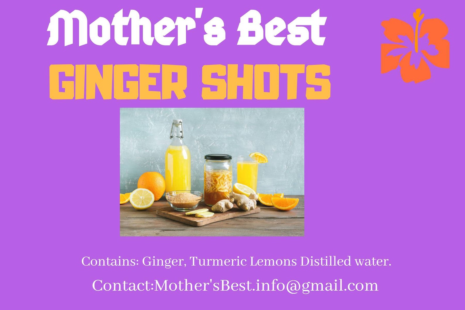 GINGER SHOTS Set of Six Bottles.made to Order. Organic Ginger Etsy