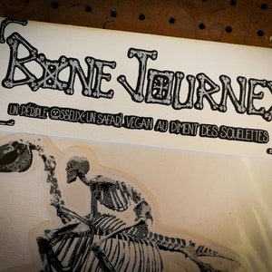 Pochette "BONE JOURNEY" de 11 stickers
