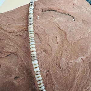 Shell Beaded Necklace