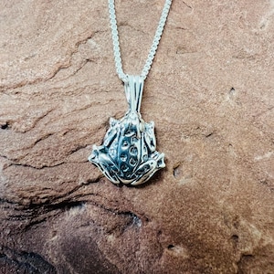 Sterling silver beautiful Frogs pendant /Southwestern Sterling silver Frog pendant necklace