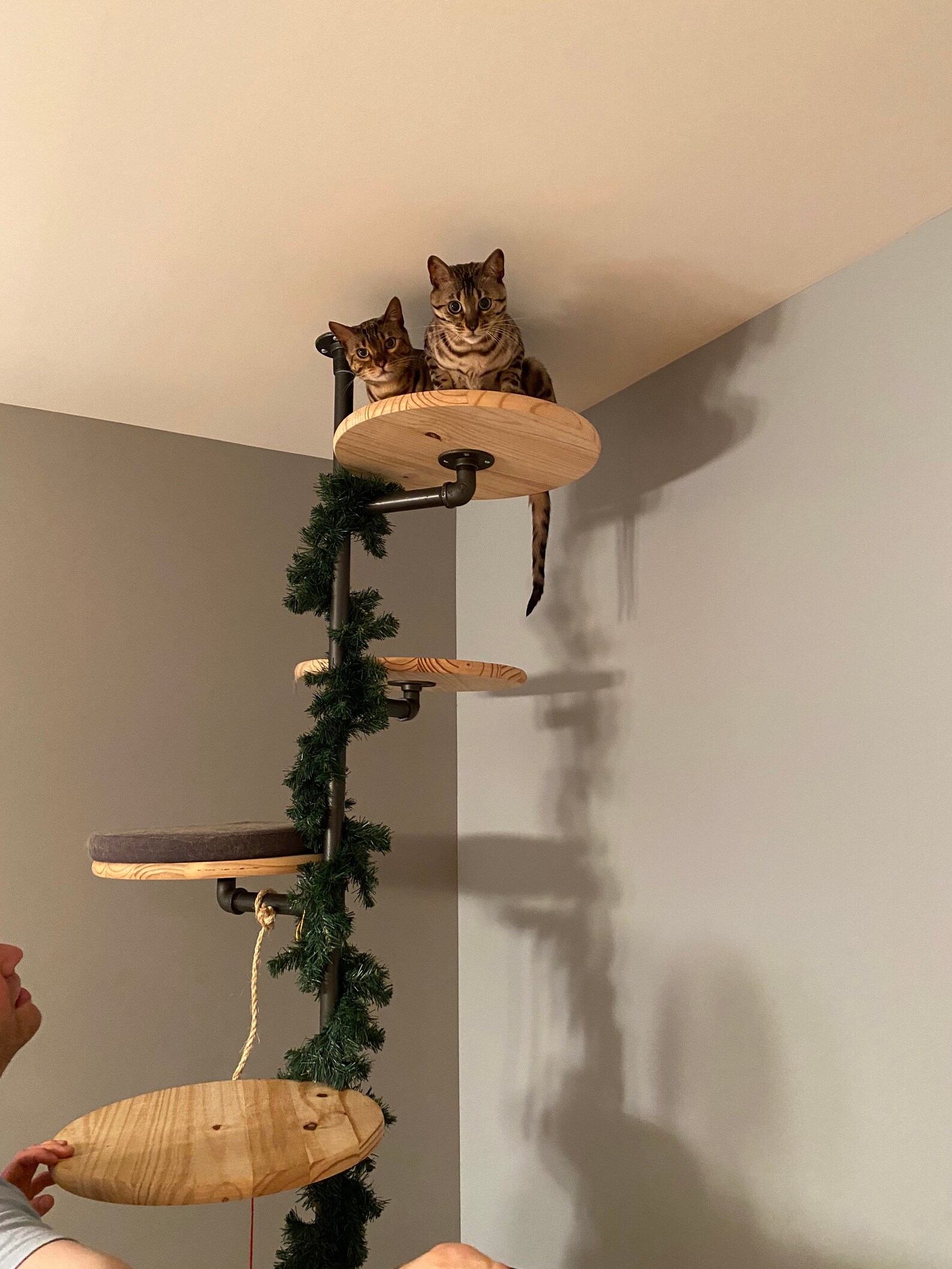 Arbre de chat de plancheràplafond Etsy France