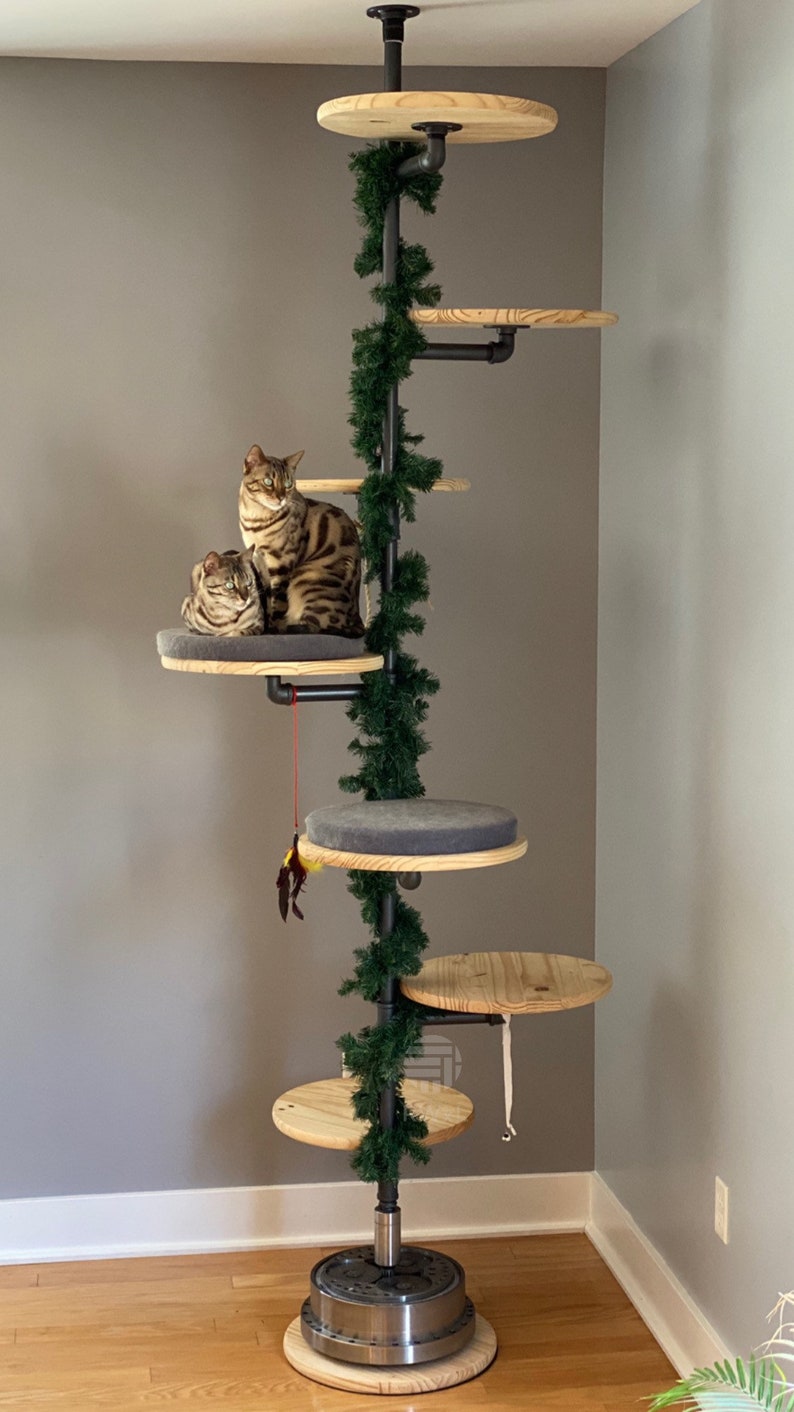 Floortoceiling Cat Tree Etsy