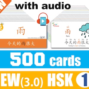 NEW(3.0) HSK1 Flashcards+Audio (500 HSK1 words+ sentences/color coded/double sides) Chinese Flashcard PDF/digital download