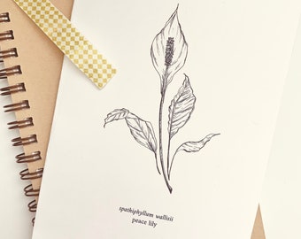 Carte de voeux imprimable lys de la paix, illustration botanique, floral minimaliste simple, téléchargement numérique instantané PDF