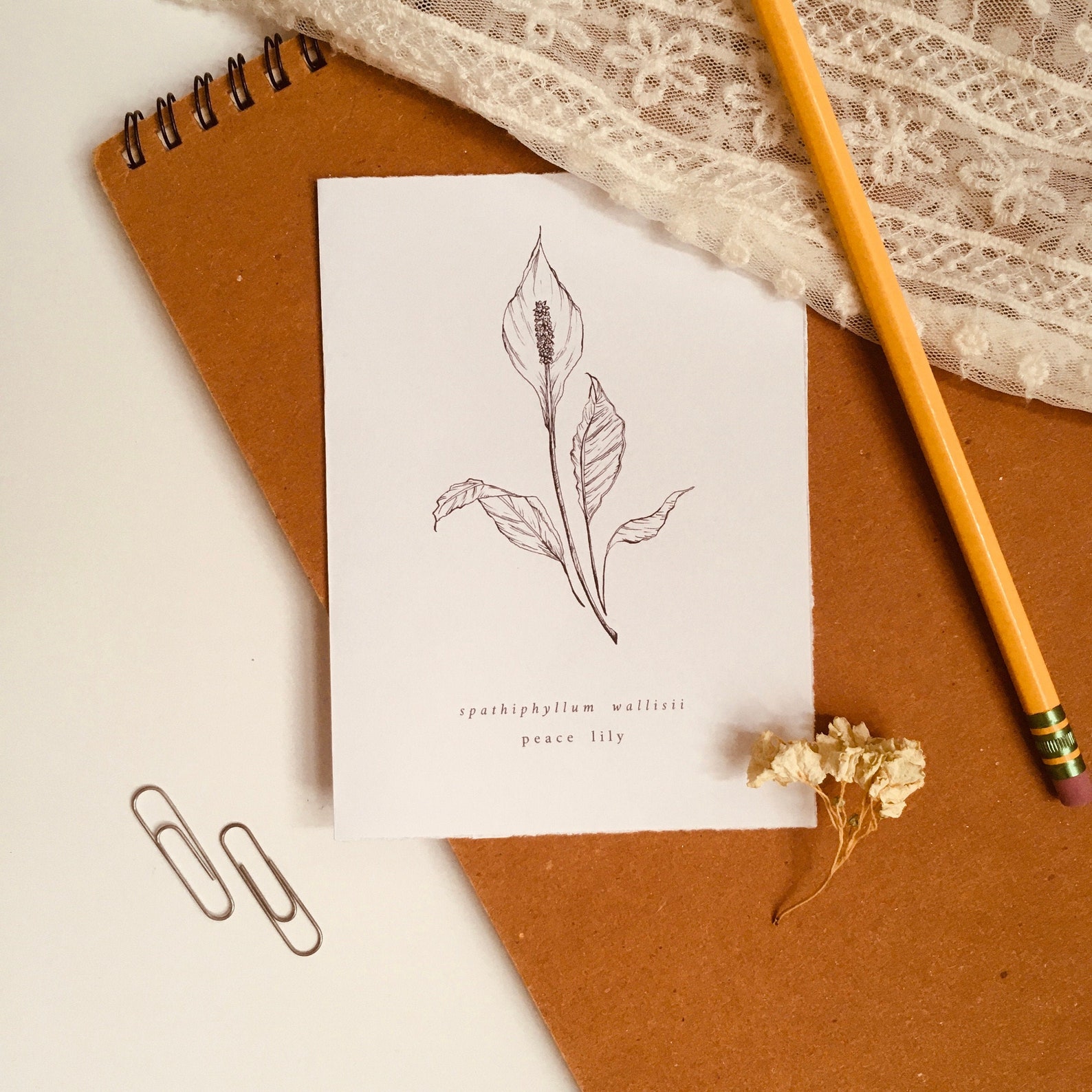 Printable peace lily card Printable greeting card | Etsy