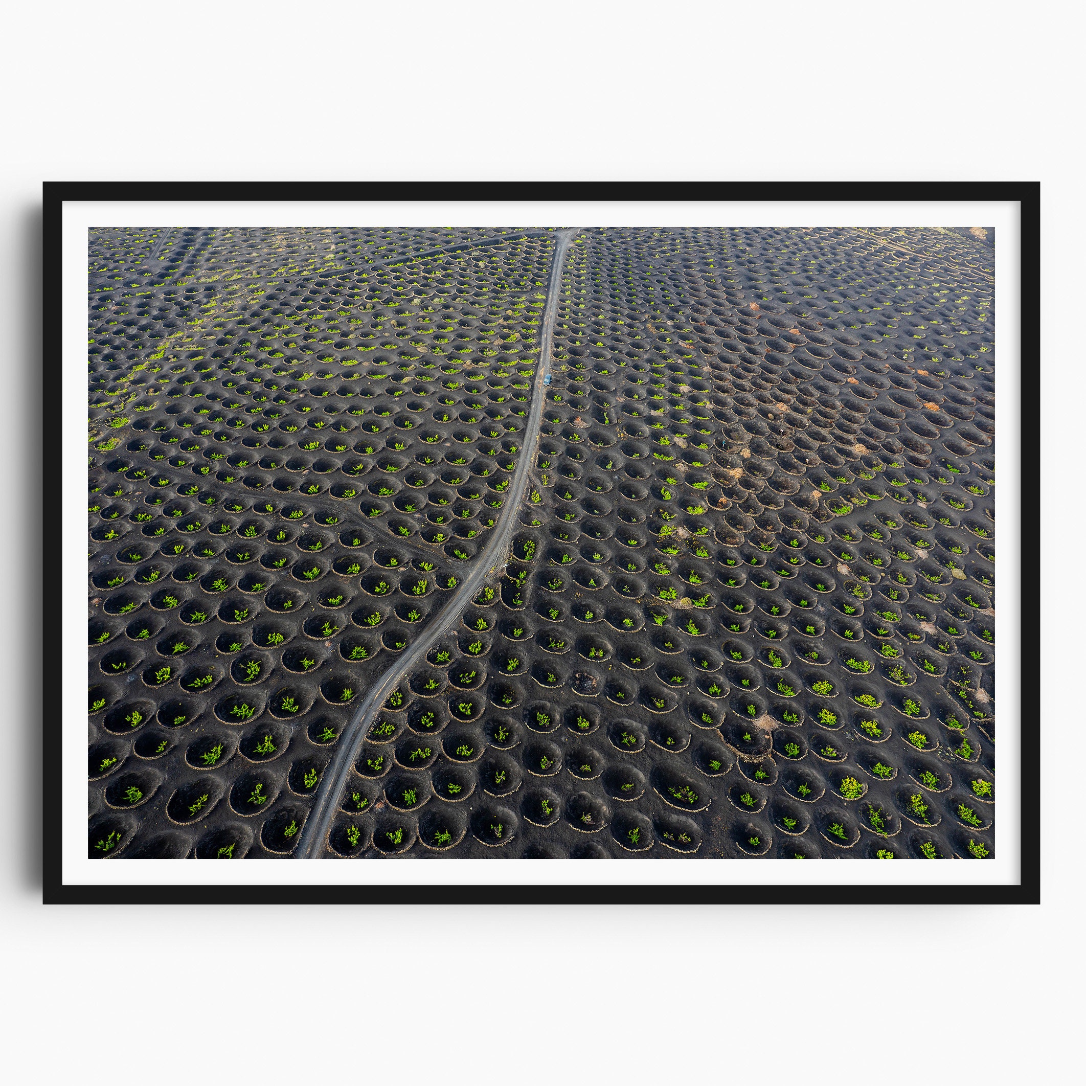 La Geria Vineyards, Lanzarote Travel Print, Lanzarote Wall Art, Lanzarote Poster, Spain Print, Timanfaya, Canary Islands, Spain Wall Art