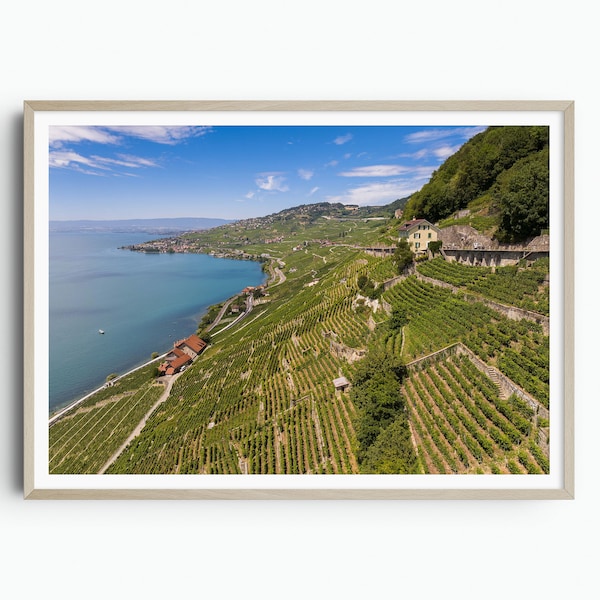 Lavaux Vineyard Travel Print, Switzerland Wall Art, Lake Geneva, Epesses, Lausanne, Travel Poster, Travel Print, Aerial Photography