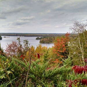 May include: A scenic view of a lake with wooded islands in the distance. The foreground features a variety of trees and foliage in shades of green, red, and yellow, creating a vibrant autumnal scene.