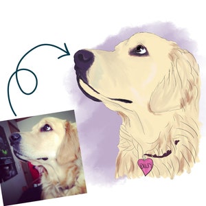 English cream golden retriever gifts Clearance