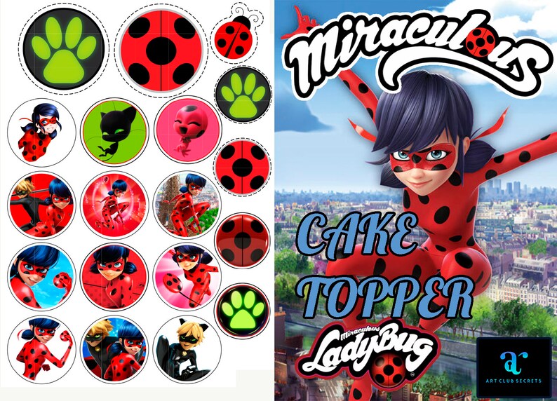 Miraculous: Tales of Ladybug & Cat Noir Cake Topper Cake | Etsy