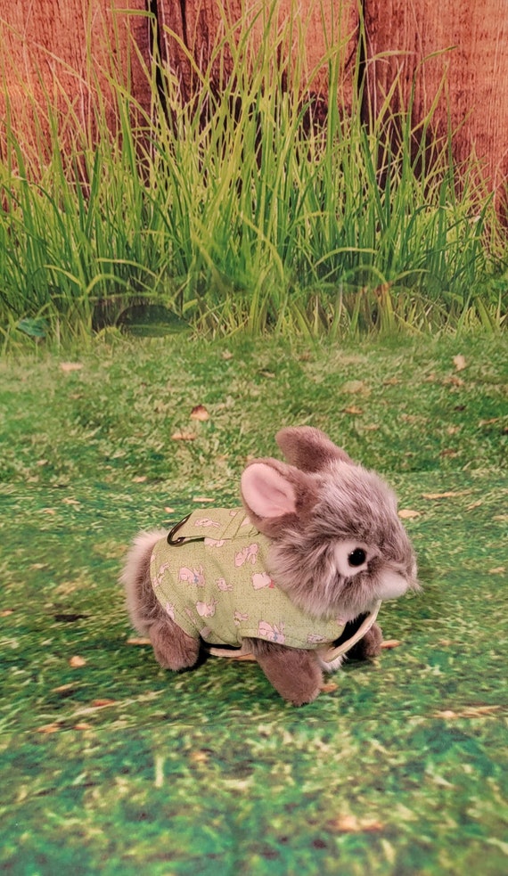 Bunny Clothes/harness Rabbit Clothes. Please Double Check the Etsy