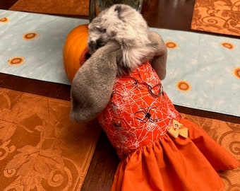 Halloween Harness for your Bunny, small cat/dog.  Size M/L