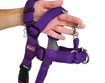 Harnais pour chien no pull - Taille M - Walkies No-Pull