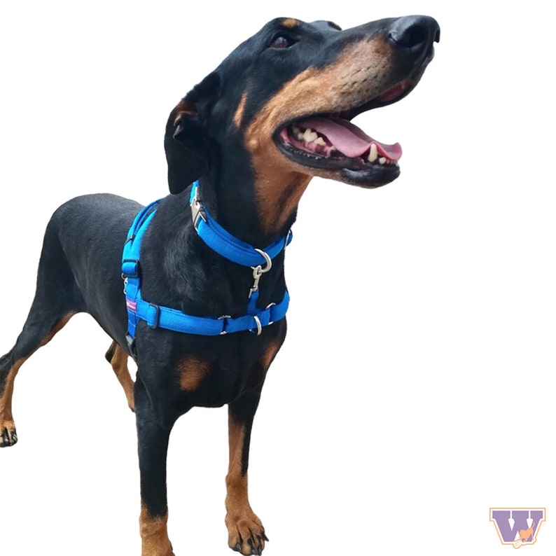 Walkies No-Pull No Pull Dog Harness Size M