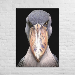 Victor Shoebill XL Canvas Print