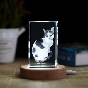Portrait d'animal de compagnie 3D personnalisé, cadeaux photo 3D personnalisés en cristal, photo 3D gravée en cristal, portrait d'animal de compagnie personnalisé à partir d'une photo, cadeau pour amoureux des animaux de compagnie