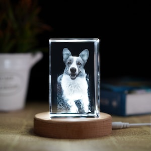 Personalized 3D Photo Engraved Crystal Cube, Custom 3D Crystal Photo Ornament, Custom 3D Pet Portrait, New Year Gift, Pet Loss Memorial Gift