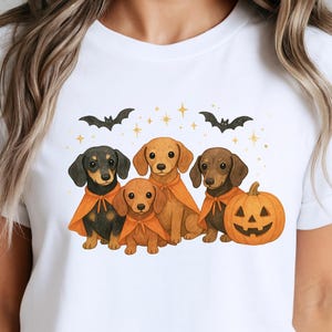 Op de afbeelding: Wit T-shirt met een Halloween-ontwerp. De afbeelding toont vijf teckels met oranje capes, een uitgesneden pompoen, vleermuizen en sterren. De honden zijn afgebeeld in tinten bruin en zwart.