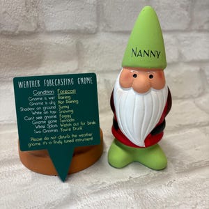 Personalised Garden Gnome: Cheeky Weather Forecast Gift, funny garden gift idea, dad Christmas gift, grandad gift idea, name on a gnome afbeelding 6