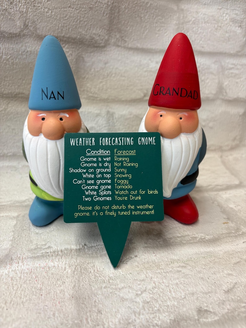 Personalised Garden Gnome: Cheeky Weather Forecast Gift, funny garden gift idea, dad Christmas gift, grandad gift idea, name on a gnome afbeelding 5