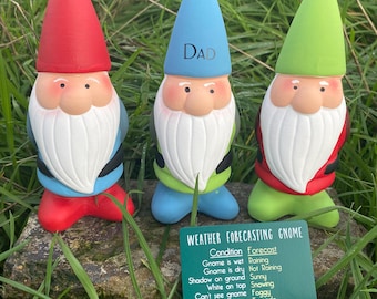 Puede incluir: Tres gnomos de jardín, uno rojo, uno azul y uno verde, con barbas y sombreros blancos. El gnomo azul tiene la palabra "DAD" escrita en su sombrero. Un cartel verde delante de los gnomos dice "WEATHER FORECASTING GNOME" y enumera las condiciones meteorológicas y los estados correspondientes de los gnomos.