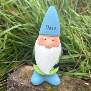 Op de afbeelding: Een blauwe en groene tuinkabouter met een witte baard en een blauwe muts met daarop "PAPA".