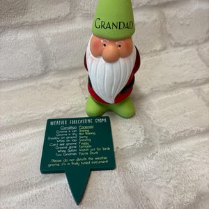 Personalised Garden Gnome: Cheeky Weather Forecast Gift, funny garden gift idea, dad Christmas gift, grandad gift idea, name on a gnome afbeelding 11