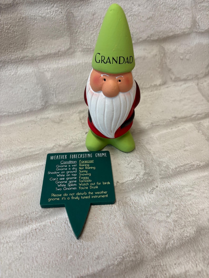 Personalised Garden Gnome: Cheeky Weather Forecast Gift, funny garden gift idea, dad Christmas gift, grandad gift idea, name on a gnome afbeelding 11