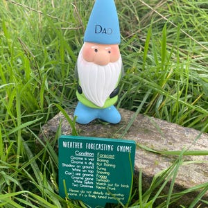 Op de afbeelding: Een groene weer-voorspellende gnome met een blauwe hoed en witte baard. De gnome staat op een rots met groen gras op de achtergrond. De gnome heeft een bord met de tekst "Weer-voorspellende gnome" en somt verschillende weersomstandigheden en hun bijbehorende voorspellingen op.