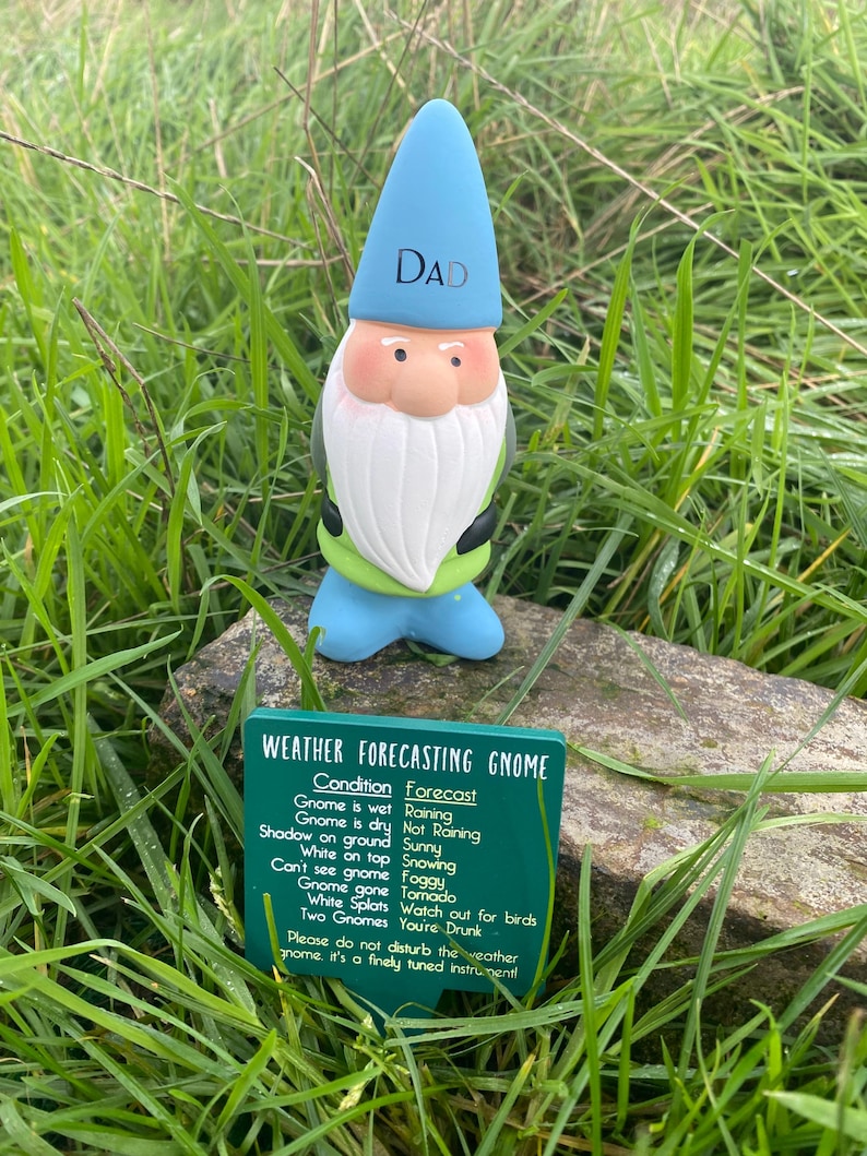 Op de afbeelding: Een groene weer-voorspellende gnome met een blauwe hoed en witte baard. De gnome staat op een rots met groen gras op de achtergrond. De gnome heeft een bord met de tekst "Weer-voorspellende gnome" en somt verschillende weersomstandigheden en hun bijbehorende voorspellingen op.
