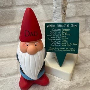 Personalised Garden Gnome: Cheeky Weather Forecast Gift, funny garden gift idea, dad Christmas gift, grandad gift idea, name on a gnome afbeelding 7