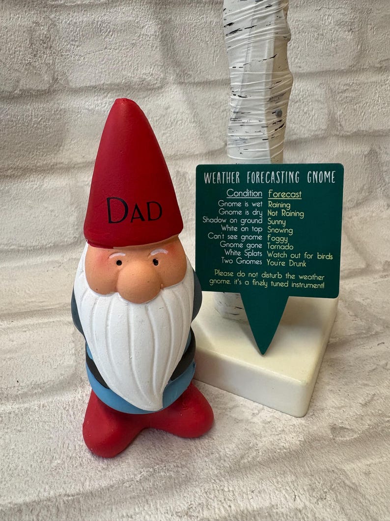Personalised Garden Gnome: Cheeky Weather Forecast Gift, funny garden gift idea, dad Christmas gift, grandad gift idea, name on a gnome afbeelding 7