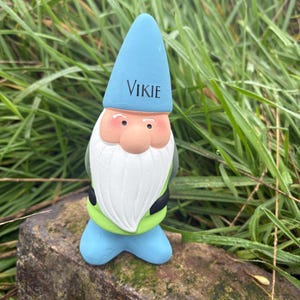 Op de afbeelding: Een klein groen en blauw dwergbeeldje met een witte baard en een blauwe hoed met daarop "VIKIE". De dwerg staat op een bruine rots.