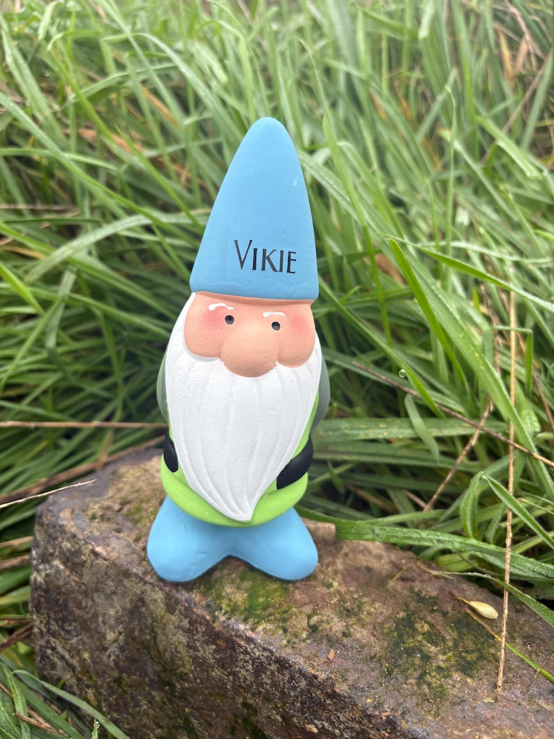 Op de afbeelding: Een klein groen en blauw dwergbeeldje met een witte baard en een blauwe hoed met daarop "VIKIE". De dwerg staat op een bruine rots.
