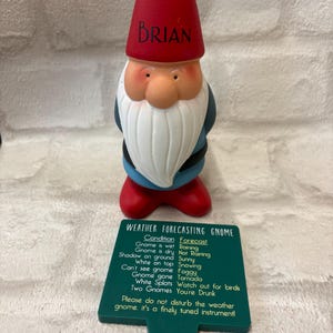 Personalised Garden Gnome: Cheeky Weather Forecast Gift, funny garden gift idea, dad Christmas gift, grandad gift idea, name on a gnome afbeelding 15