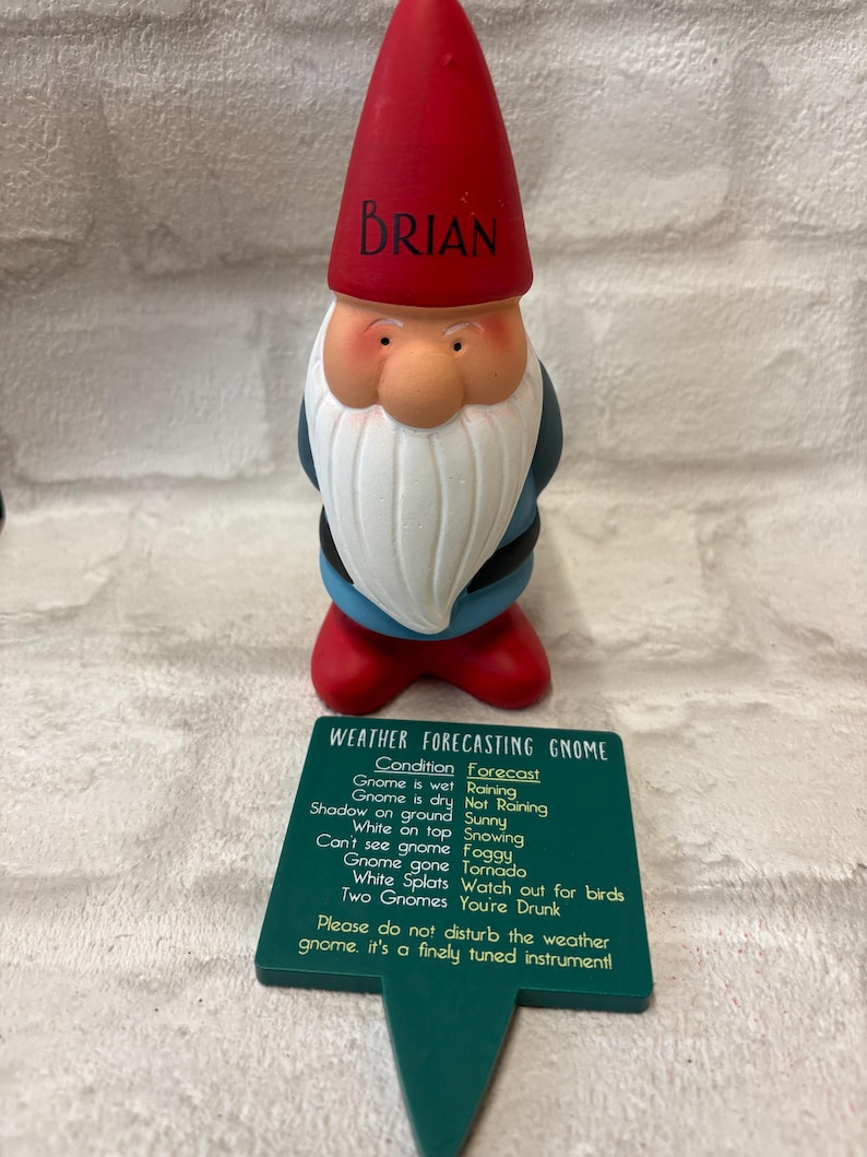 Personalised Garden Gnome: Cheeky Weather Forecast Gift, funny garden gift idea, dad Christmas gift, grandad gift idea, name on a gnome afbeelding 15