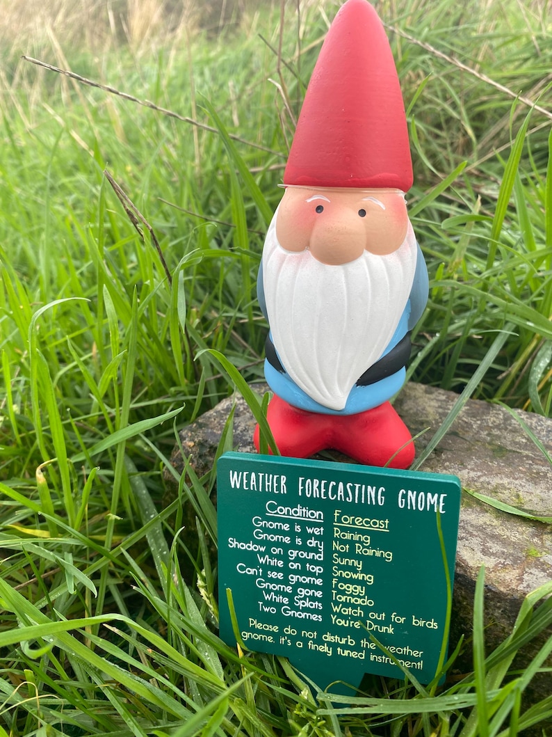 Op de afbeelding: Een rode en witte tuinkabouter met een blauwe hoed en een groen bord waarop "Weather Forecasting Gnome" staat. Het bord geeft verschillende weersomstandigheden en hun bijbehorende voorspellingen weer, zoals "Gnome is wet - Raining" en "Gnome is dry - Not Raining".