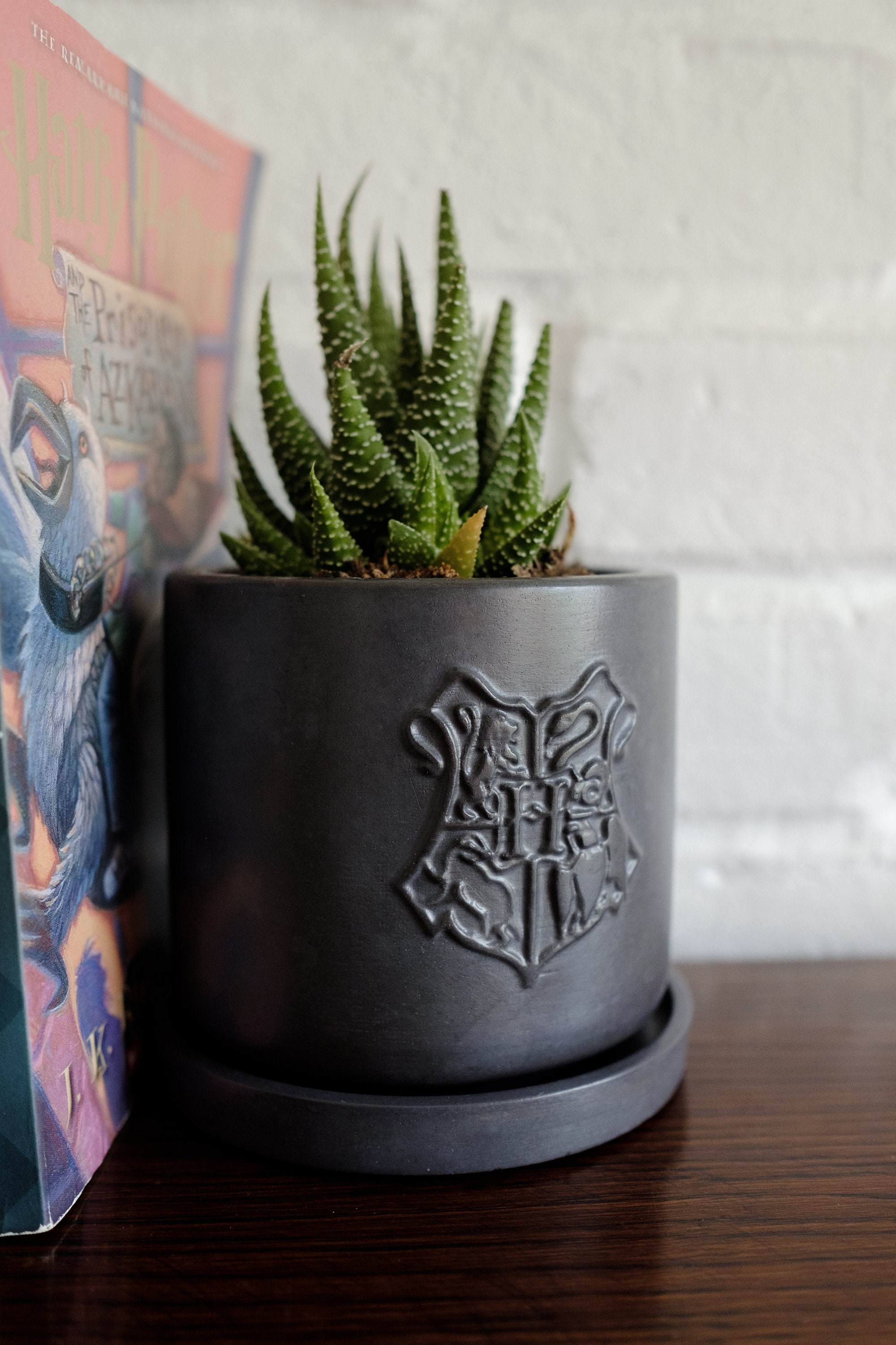 Harry Potter Planter Succulent Planter Harry Potter Gift