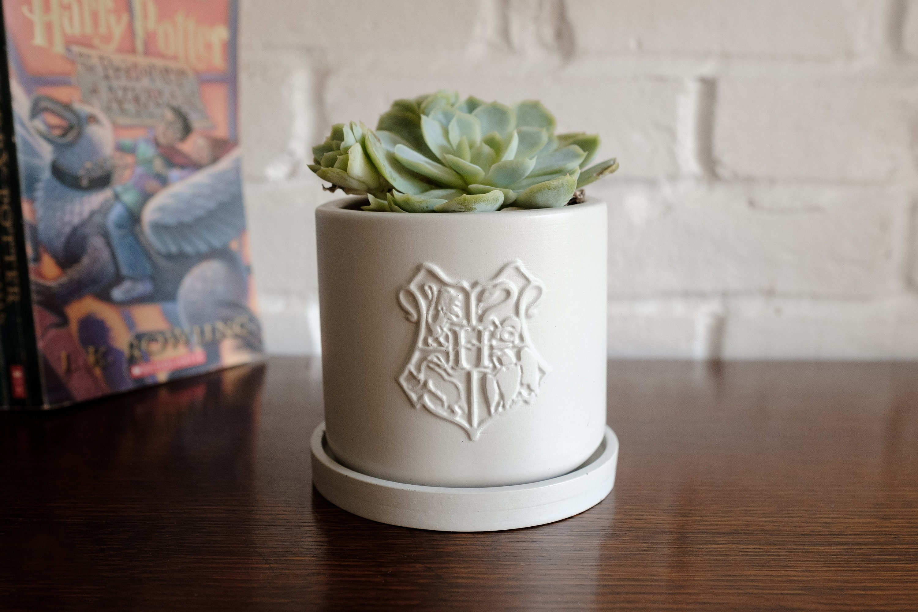 Harry Potter Planter Succulent Planter Harry Potter Gift