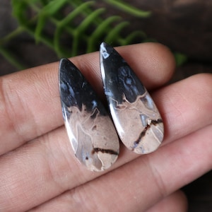May include: Two teardrop-shaped stones with a polished finish. The stones feature a striking pattern of black, tan, and cream colors. The stones are likely gemstones or decorative elements, possibly for jewelry or crafts.
