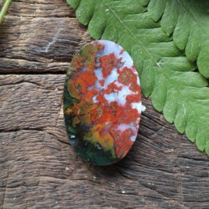 May include: An oval gemstone featuring a striking pattern of red, orange, white, and green colours. The polished stone showcases a unique, natural design, ideal for jewellery making or collecting. The gemstone is set against a wooden surface and a green fern.