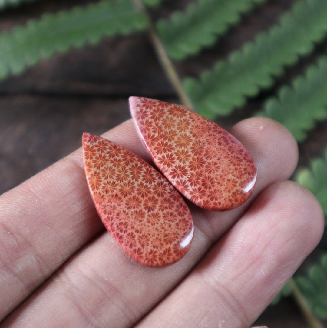 Coral Agate,mohs Scales of Mineral Hardness,agate Gemstone,flower Agate