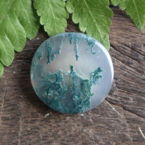 Puede incluir: Un cabujón redondo de ágata verde y blanca con un patrón dendrítico. La ágata es lisa y pulida.